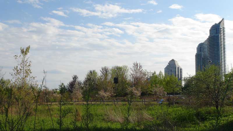 COVID-19 Government Statement Related to Ontario Parks Operations