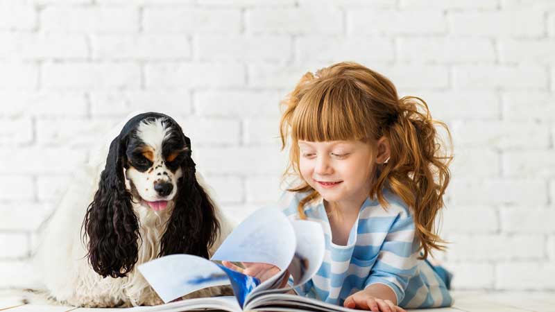 Toronto offering assistance to pet owners struggling to care for their pets due to COVID-19 thanks to community donations