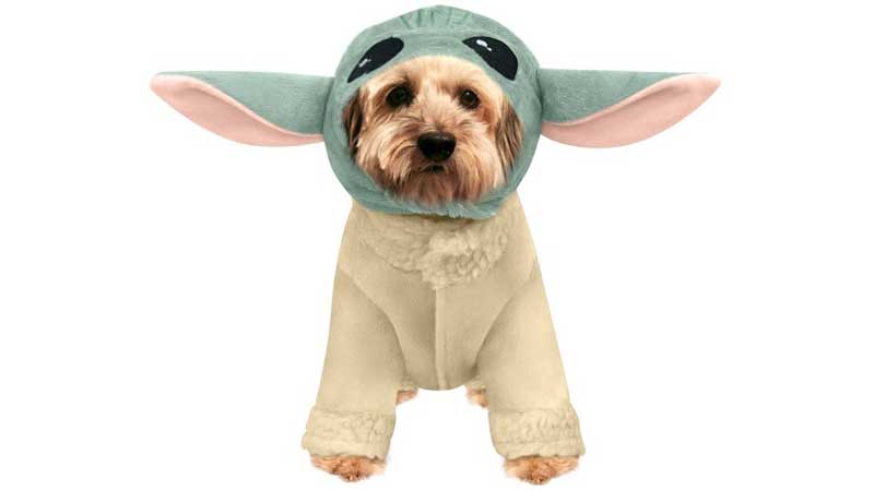 HALLOWEEN New Frightfully Fun PetSmart® Halloween Costumes