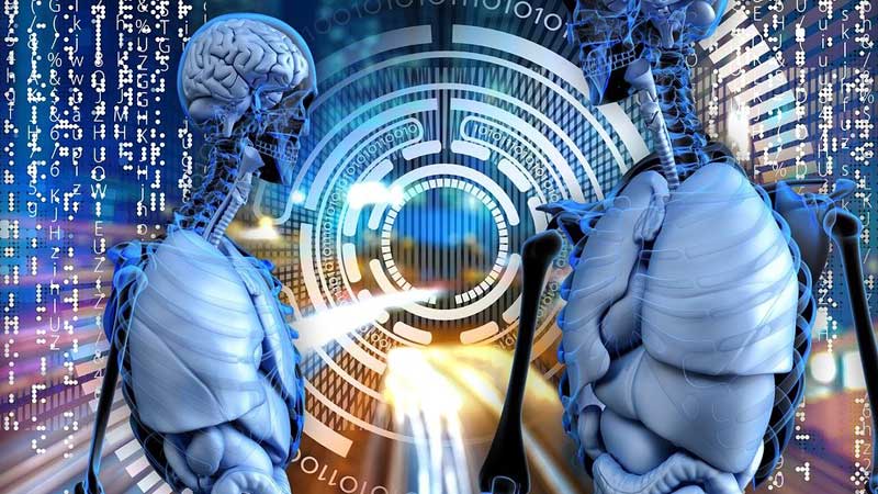 New Program Encourages Canadian Organizations to Provide Financial Support for Living Organ Donors