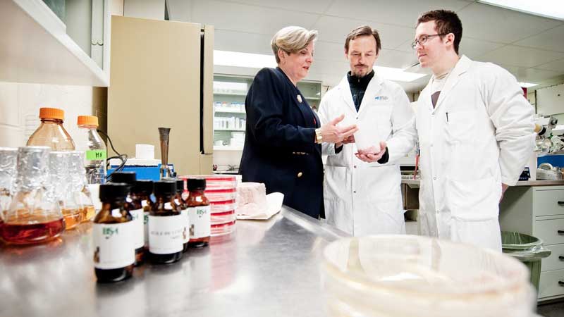 Food safety: irradiation and essential oil vapours for cereal treatment