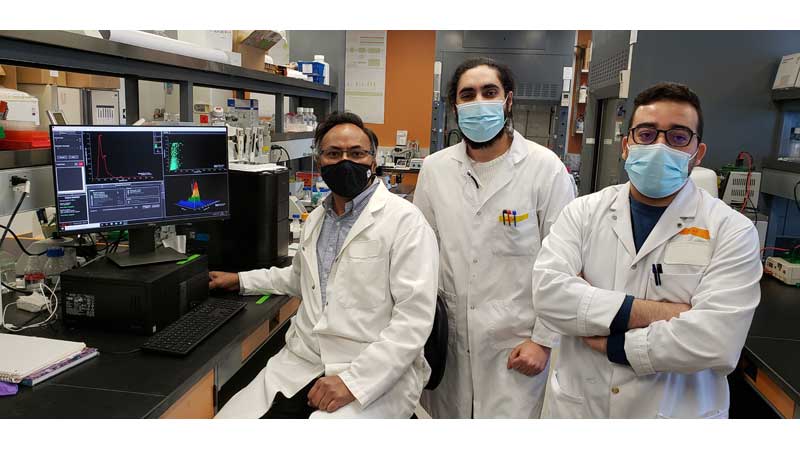 Antioxidants to prevent Alzheimer's disease