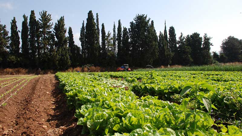 Government of Canada invests in innovative projects to boost productivity and sustainability in Canadian agriculture