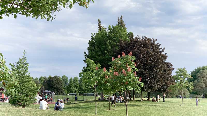 Upcoming event:  Canada Day with free admission at national parks, historic sites, and marine conservation areas