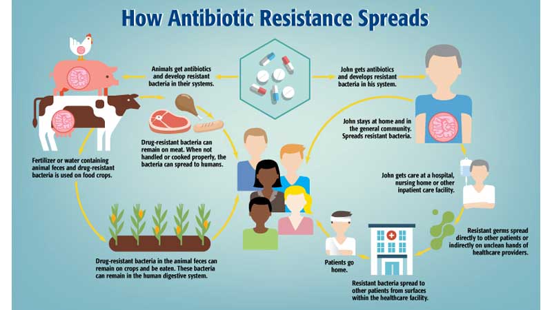 COVID-19 Vaccines Alone Aren't Enough To Combat AMR, Claims New WHO Report