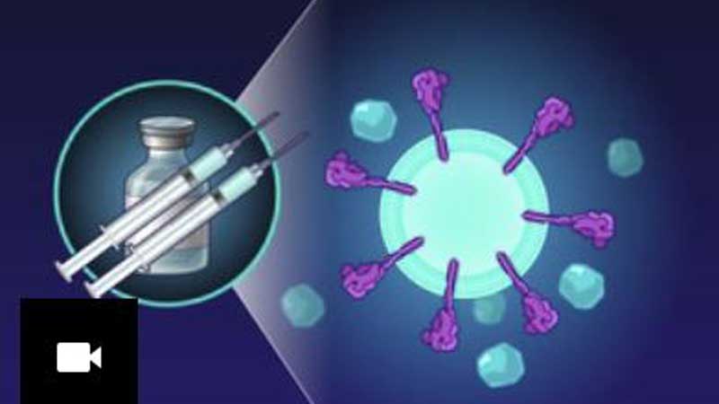 💉 COVID-19  Novavax Nuvaxovid COVID-19 Vaccine Receives Expanded Authorization in Canada as a Booster in Adults