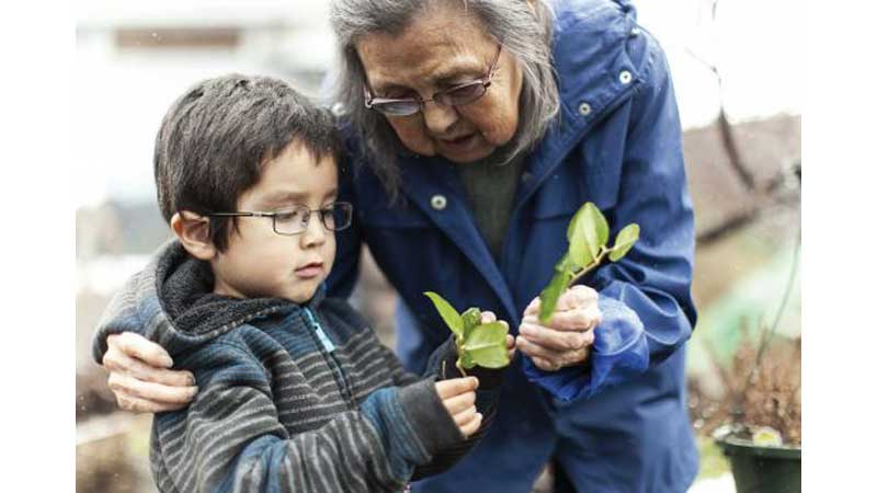 👓 Canadians are Skipping Regular Eye Exams Despite Available Vision Benefits