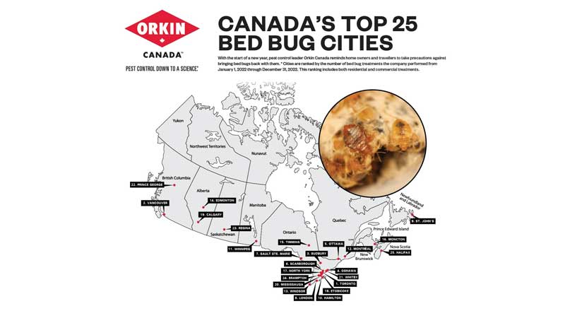 TORONTO ⚕️🦗 Toronto, The Top Bed Bug Basin