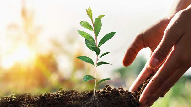 ONTARIO 🏡🌳 Ontario's Largest Electricity Utilities Remind Customers to Click Before You Dig