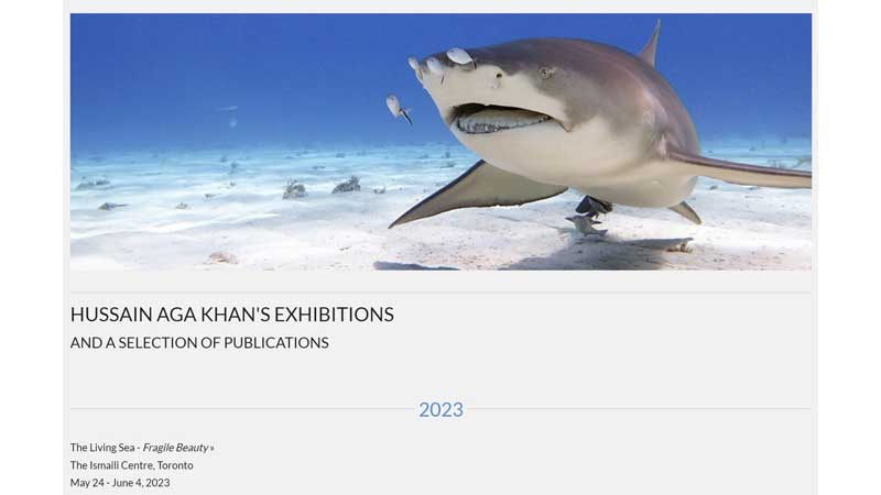 Happening Now:  🖼️ Focused on Nature Presents The Living Sea: Fragile Beauty Exhibition in Toronto