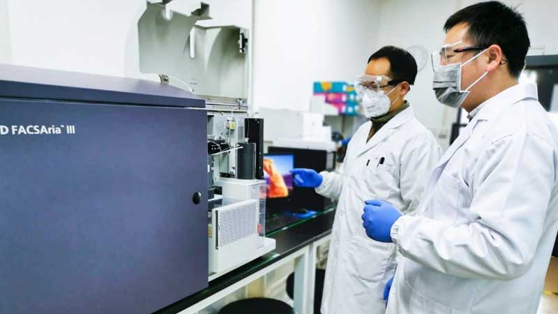 COVID-19 ⚕️💵 Government of Canada Supports Research on COVID-19 Treatments for Transplant Recipients