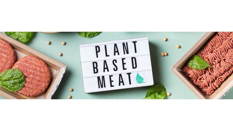 🌳🌿💵 Eating More Plants Could Save You 14% on Groceries, Says Report