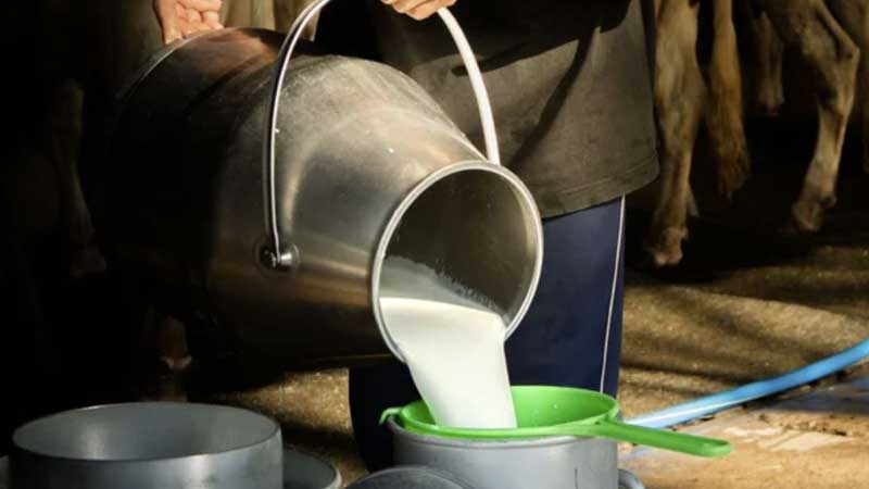 ONTARIO  JOBS 🧑🔎🐄 Ontario Training More Dairy Farmers