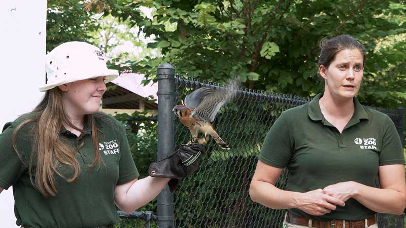 🧑🔎 Job Fair - Career Opportunities At Your Toronto Zoo! 🐻🌳🦧