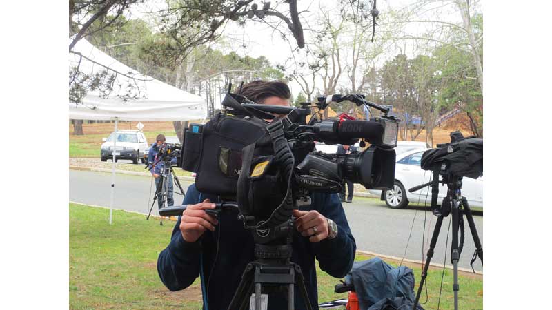 🧑🔎 New Cuts at the National Film Board of Canada 📽️💃🕺