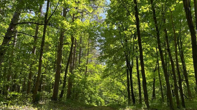 ONTARIO Budget 2024  💵🏞️ Ontario Opening Uxbridge Urban Provincial Park