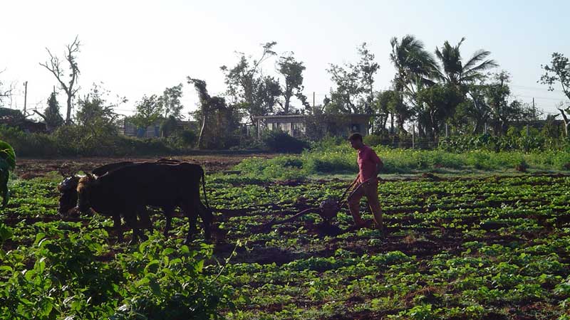🇨🇦🍁💵 Governments Investing in Innovation to Strengthen Ontario’s Agri-Food Sector 🐖🐮