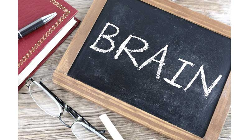 ONTARIO ⚕️ Ontario Brain Institute Partners with Episign to Advance Diagnosis of Rare Genetic Disorders