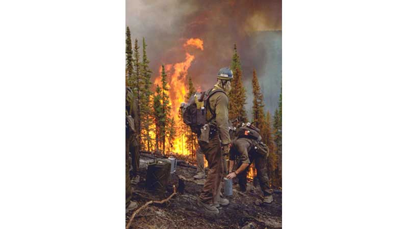 🍁🏙️ City Of Toronto to Conduct Traditional and Prescribed Burns