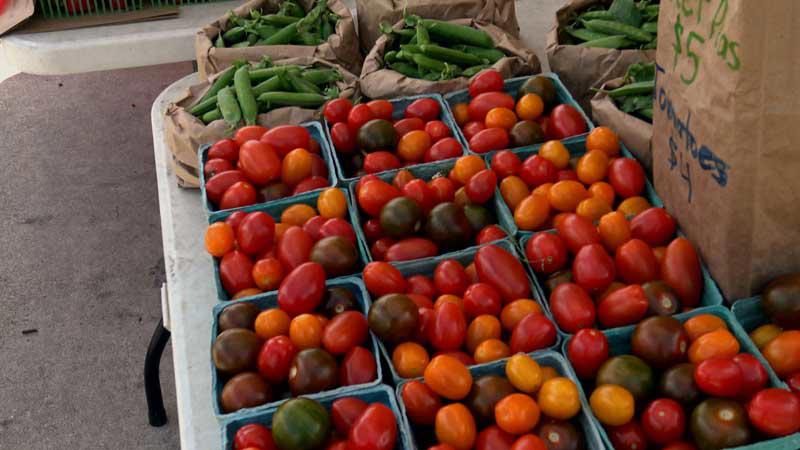 ONTARIO 🍁💵 Ontario Increasing Access to Nutritious Food in the North 🥔🥕🍅