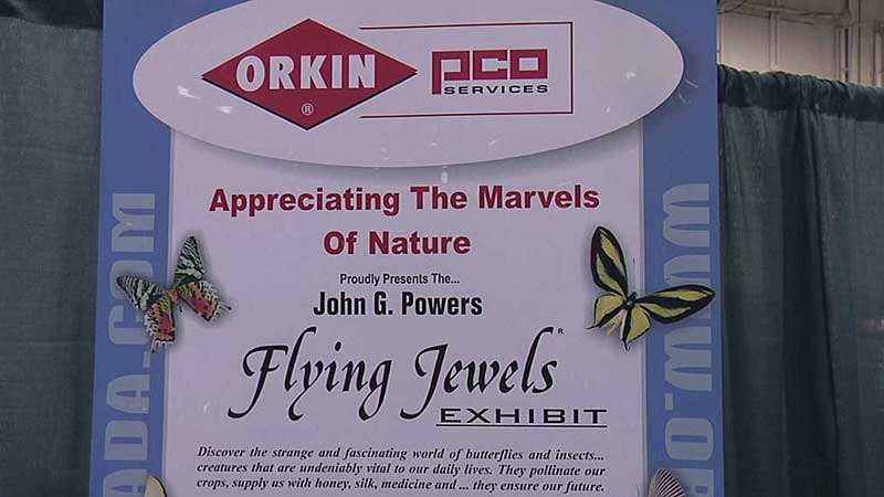 🏘️🏠 2009 International Home Show. Flying Jewels – 50-th Anniversary
