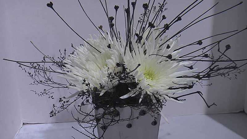 🏘️🏠 2009 International Home & Garden Show 2009. В Торонто открывается выставка домов и цветов