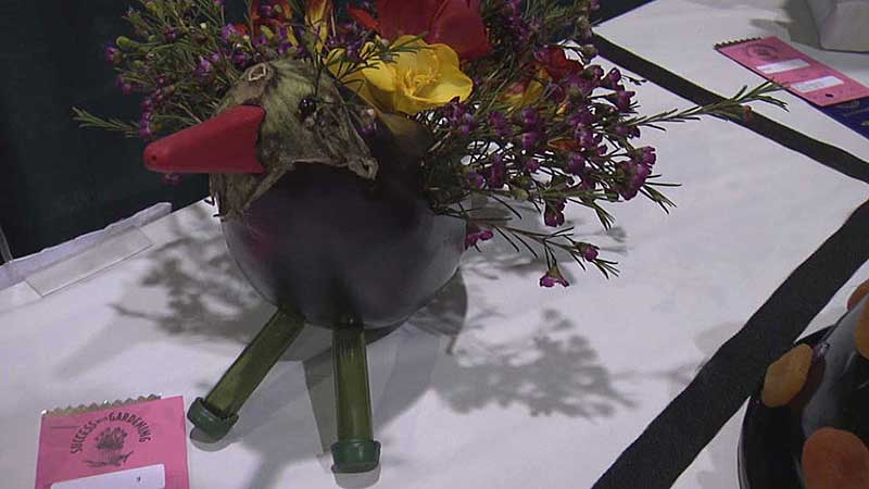 👨‍🌾✂️🌳 2009 Successful Gardening Show. Family Pet