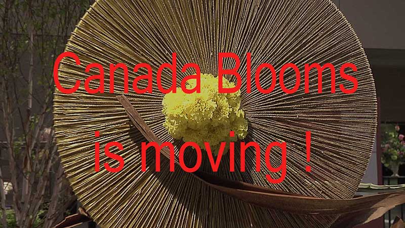 🌺 2009 Canada Blooms Conference. Canada Blooms is Moving