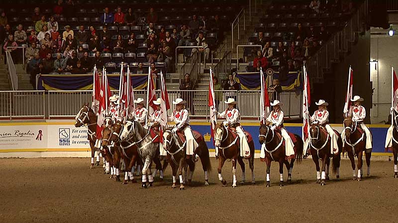 👑🐄🚜🏇🥉 2009 Royal Canadian Winter Fair. Opening