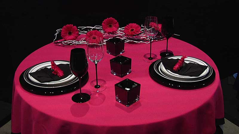 🌺 2010 Canada Blooms. A Functional Table Design