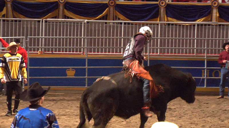 👑🐄🚜🏇🥉 2010 Royal Agricultural Winter Fair. The Royal Rodeo