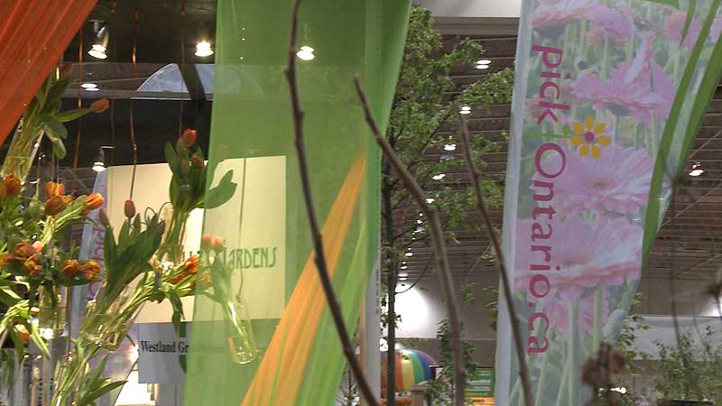 🌺 2012 Canada Blooms. Pick Ontario Flower Arrangements