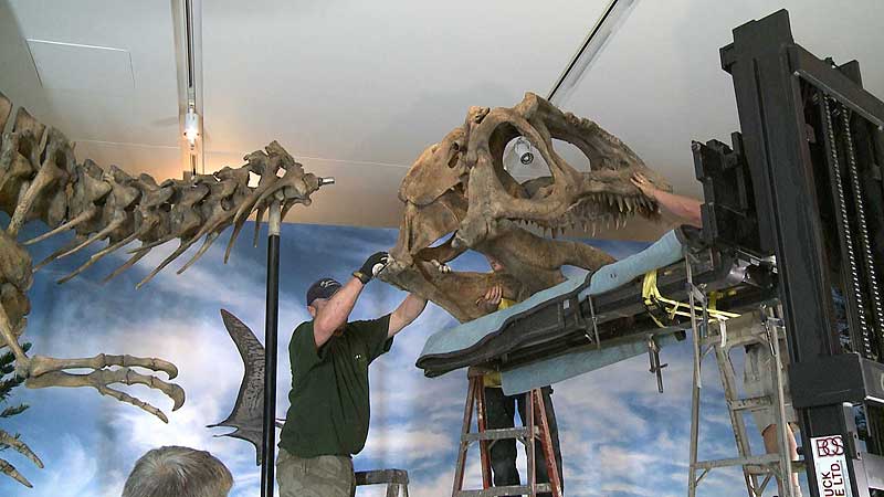 🗿🏺​🦖​🦕 2012 ROM. Ultimate Dinosaurs: Giants from Gondwana. Final Installation of Giganotosaurus and Tyrannosaurus Rex