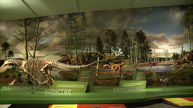 🗿🏺​🦖​🦕 2012 ROM. Ultimate Dinosaurs: Giants from Gondwana. World Premiere