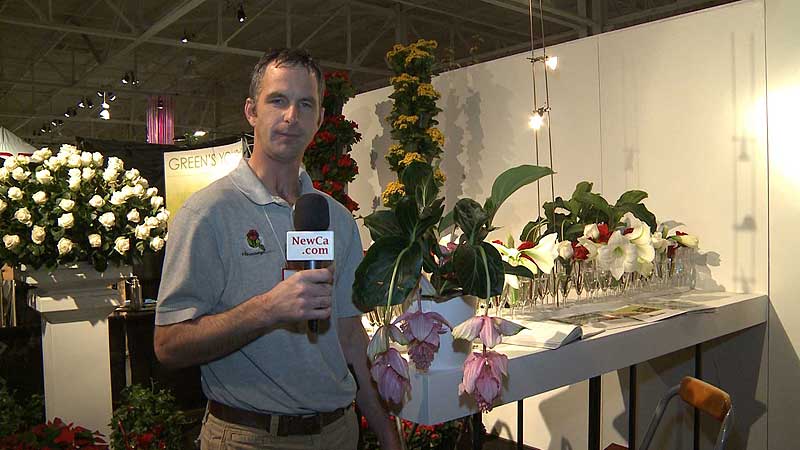 🌳🌻 2012 Garden and Floral EXPO. P. Ravensbergen and Sons Ltd.