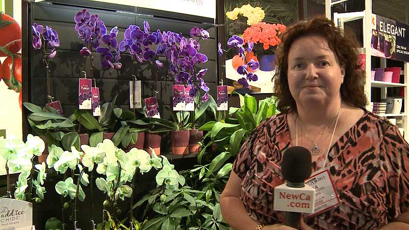 🌳🌻 2012 Garden and Floral EXPO. Foliera Orchids - Old world quality, new age technology
