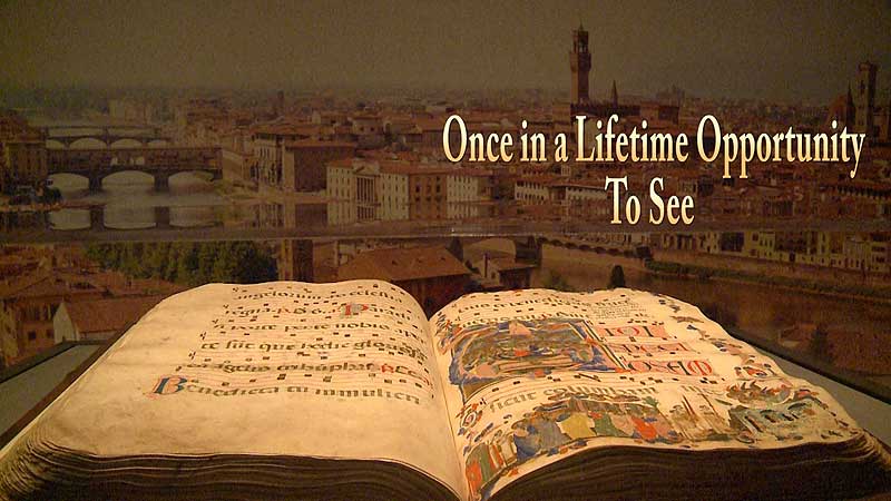 🖼️  2013 AGO. Early Renaissance EX. Revealing