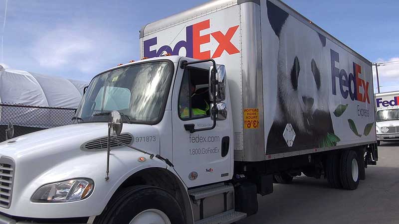🐻🌳🐼 2013 Toronto Zoo. Pandas Arrive at the Toronto Zoo