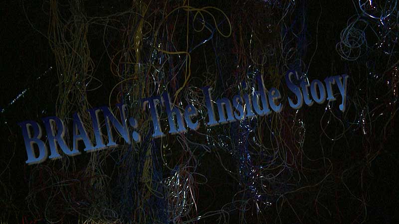 👨‍🔬🔬🧠 2015 OSC. BRAIN: The Inside Story Is All About Brain