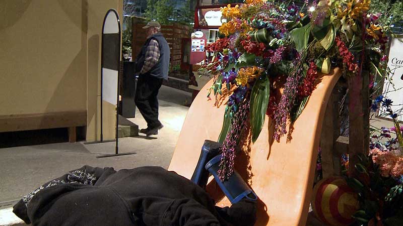 🌺 2015 Canada Blooms. Jennifer Harvey's 'Let's Play' Playground