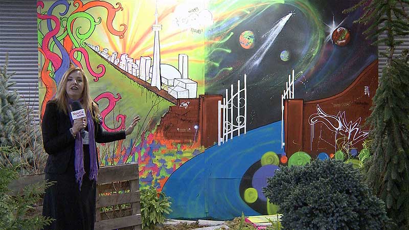 🌺 2015 Canada Blooms. Jennifer Harvey's Backyard