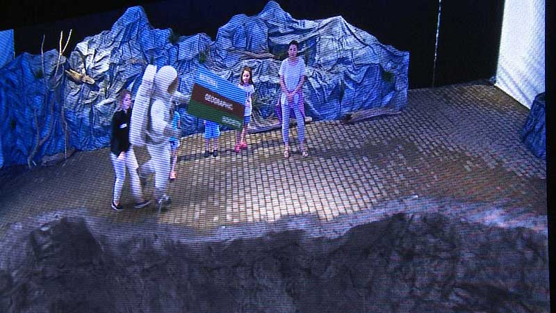 🐻🌳 2015 Zoo. Wild Connection