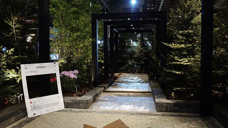 🌺 2017 Canada Blooms. Garden of Celebration