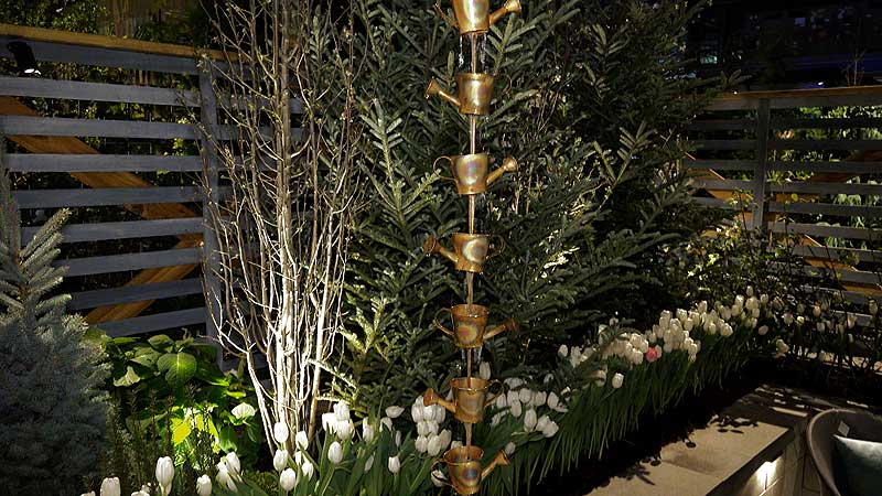 🌺 2017 Canada Blooms. Big Yellow Taxi