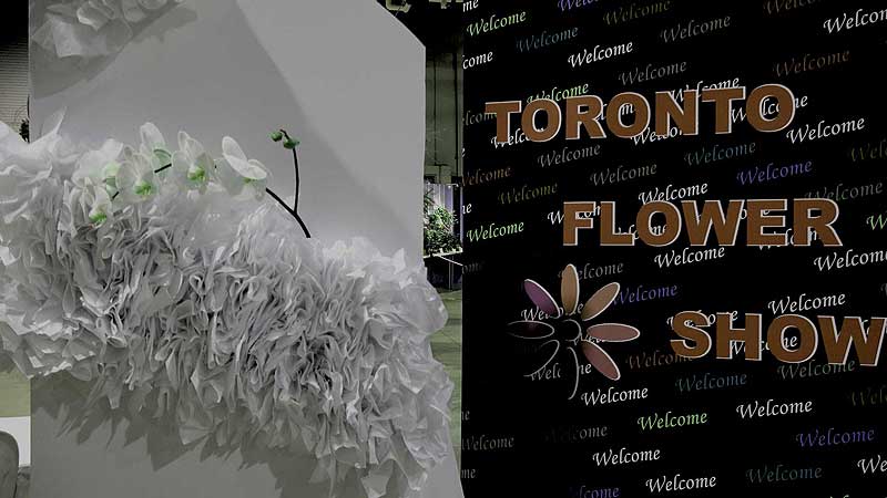 🌺 2018 Canada Blooms. Toronto Flower Show
