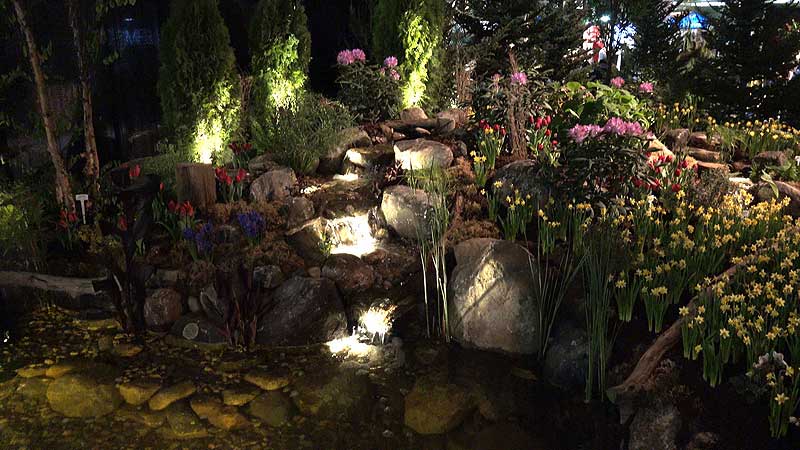 🌺 2018 Canada Blooms. This Is Our Movie Garden