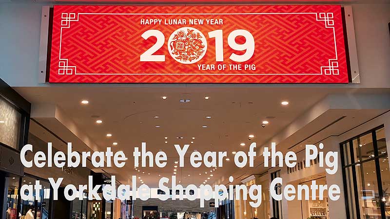 🐲🇨🇳📅🎆 NewCa.com Exclusive! 2019 Celebrate the Year of the Pig at the Yorkdale
