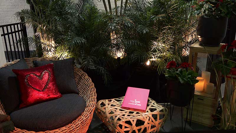 🌺 2019 Canada Blooms. Balcony Showcase