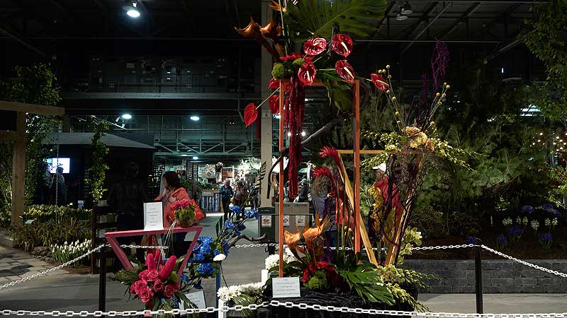 🌺 2019 Canada Blooms. Floral Alley