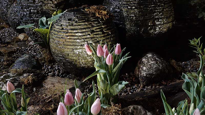🌺 2019 Canada Blooms. Jackson Pond